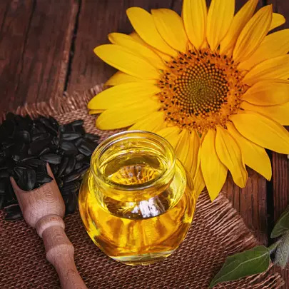 Helianthus Annuus Seed Oil (подсолнечное масло) для лица в косметике: что это за вещество и чем оно полезно для кожи